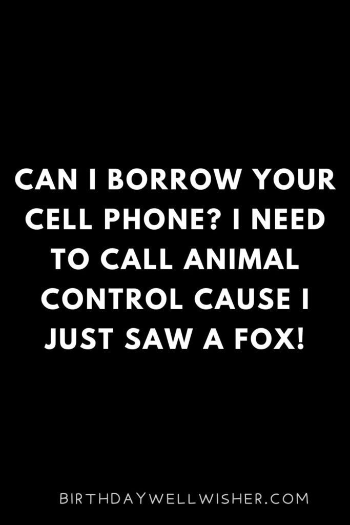 Can I borrow your cell phone I need to call animal control cause I just saw a fox!