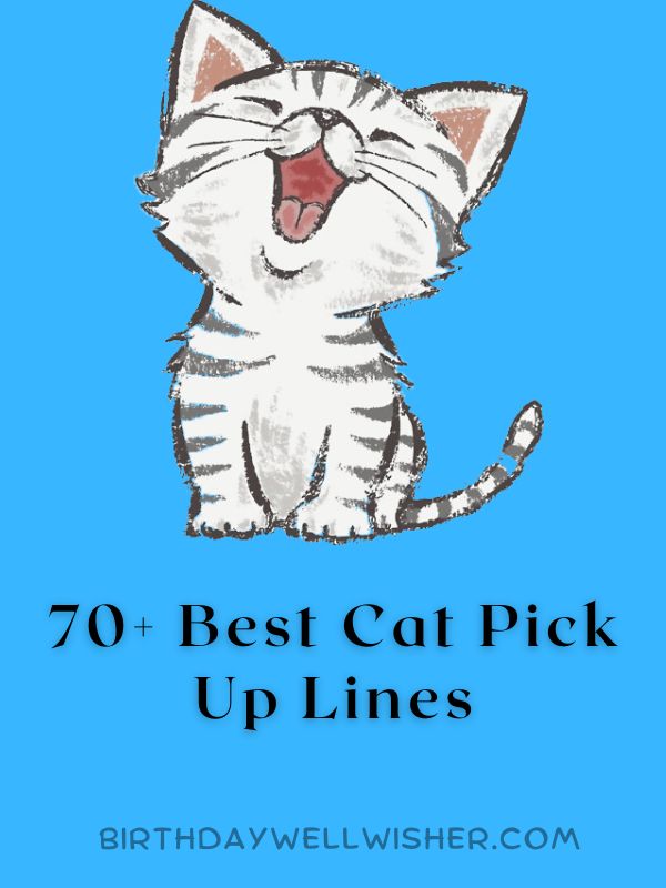 70+ Best Cat Pick Up Lines