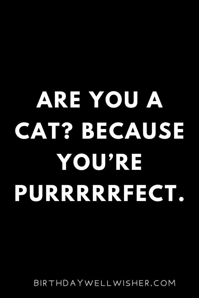 Are you a cat Because you’re purrrrrfect.