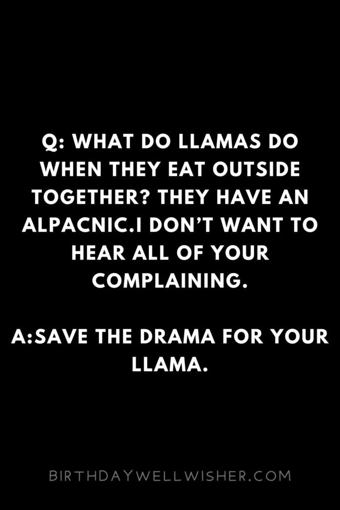 Crazy Llama Alpaca Pick Up Lines and Jokes for Hilly People
