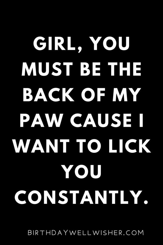 Funny Cat Pick Up Lines