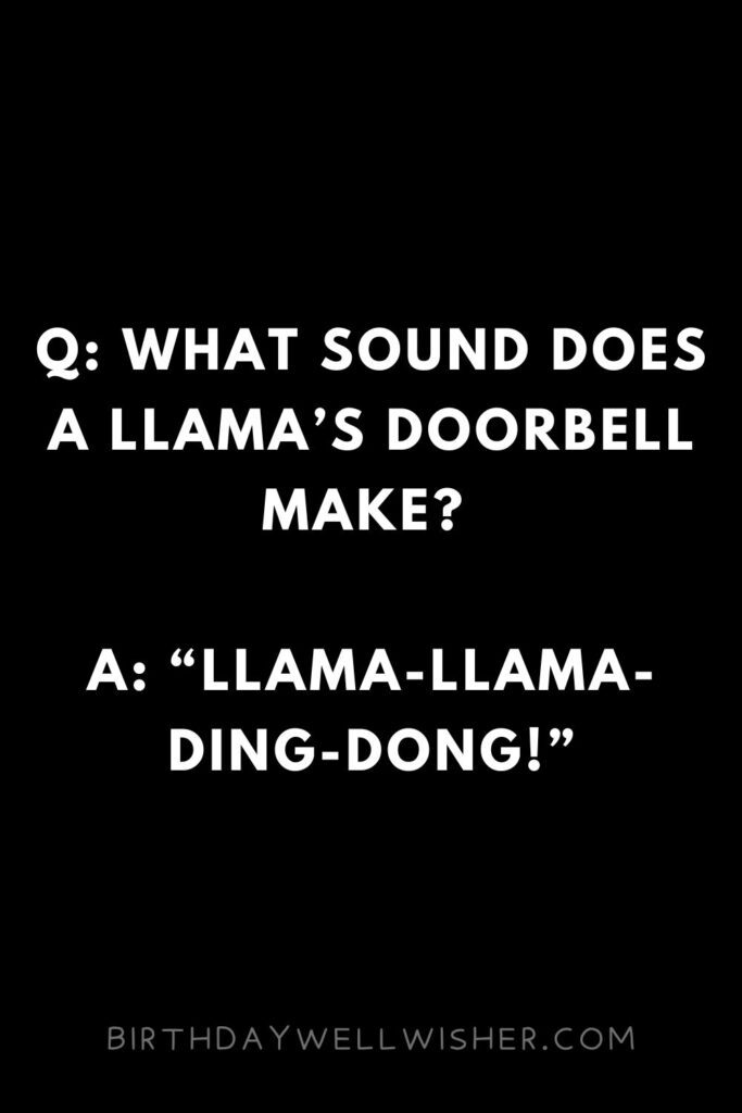 Llama Alpaca Pick Up Lines and Jokes for Hilly People