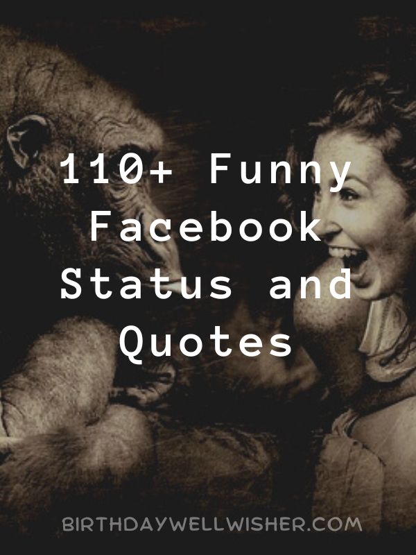 Funny Facebook Status and Quotes