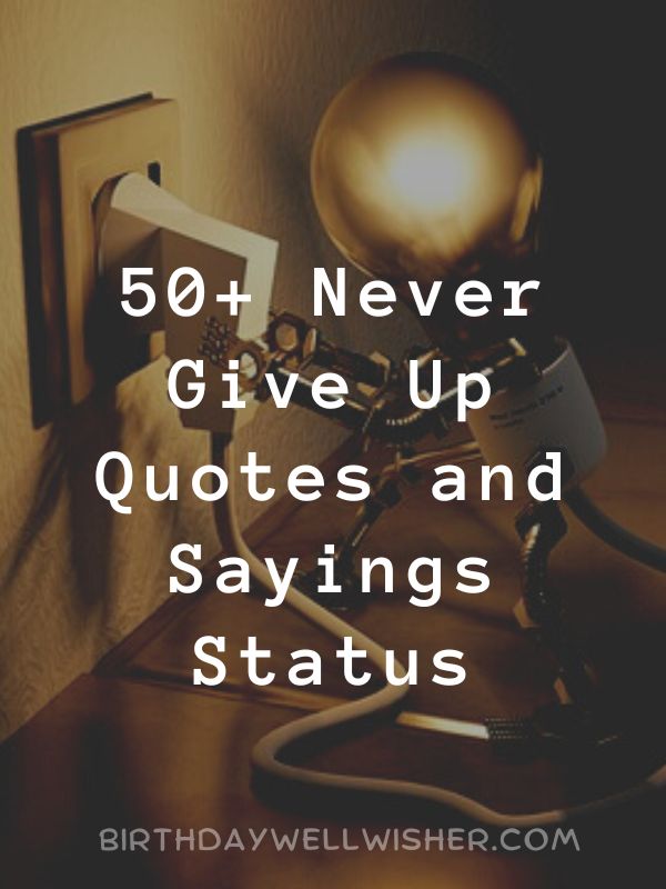 Never Give Up Quotes and Sayings Status