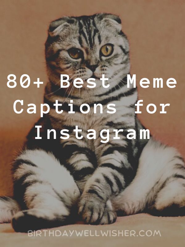 Best Meme Captions for Instagram