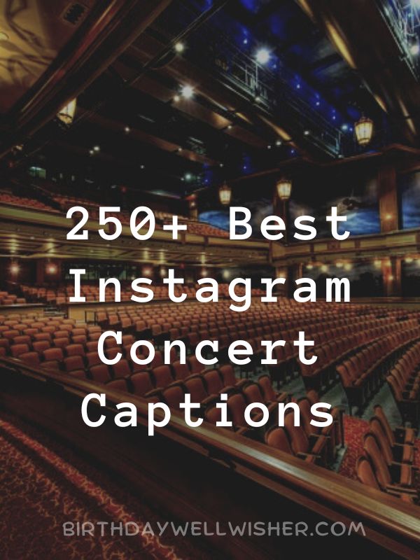 Best Instagram Concert Captions