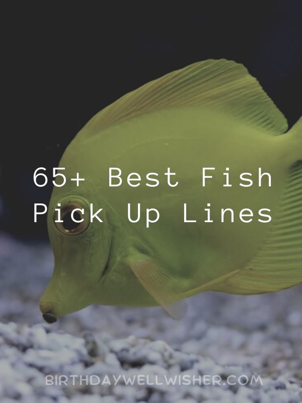Best Fish Pick Up Lines